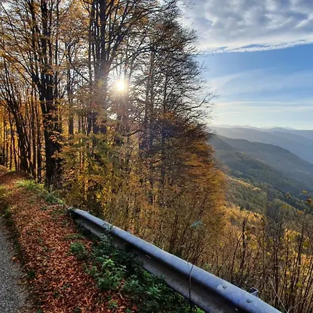 Les Quatre Saisons *