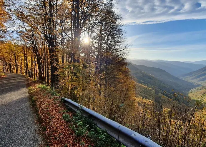 Les Quatre Saisons *